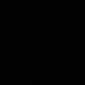 Meet your Posher, Ariel